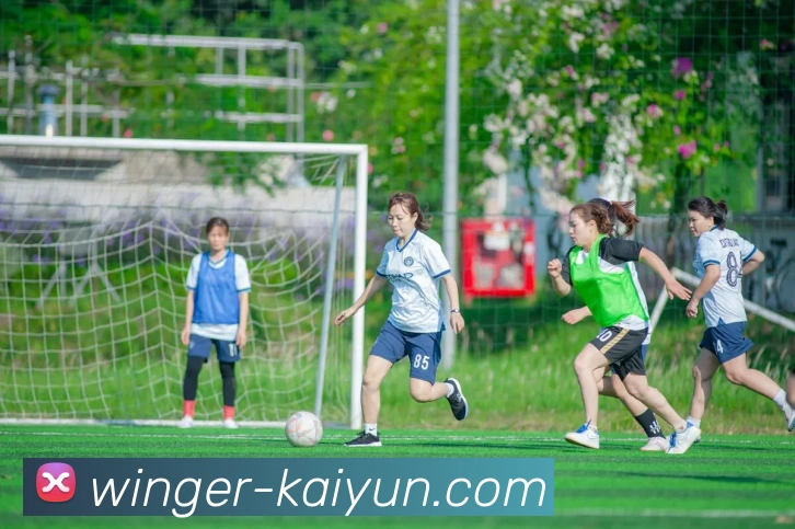 开云app服务体系